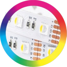 Светодиодная лента 24В 20м RGBW 4в1 RGB+БЕЛЫЙ НАБОР 5050