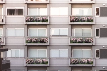 francuskie szampańskie HORTENSJE balkon OSŁONA