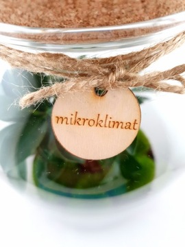 МикроКлимат Форест в банке высотой 42 Бонсай ДОСТАВКА