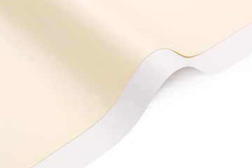 papier wizytówkowy GŁADKI biały lub ecru -- 200g