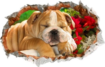 Наклейка с 3D эффектом дырка в стене кошки собаки лошади