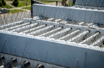 ПЛОТНЫЕ ПТИЦЕВЫЕ ШИПЫ ОТ ПРОИЗВОДИТЕЛЯ AVIK R140