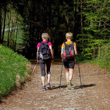 Трекинговые палки NORDIC WALKING 2 шт.