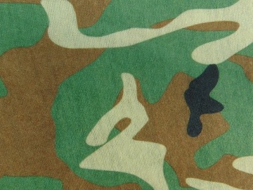 Тактический лесной