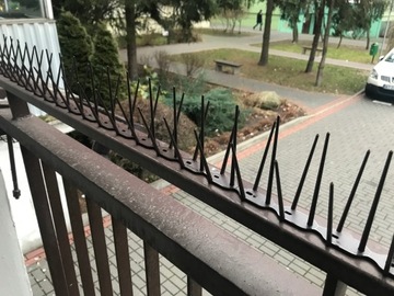SKUTECZNE PLASTIKOWE KOLCE NA PTAKI GOŁĘBIE 4 KOLORY TRWAŁE i BEZPIECZNE