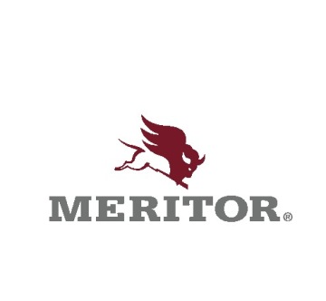 ГАЙКА СТУПИЦЫ, ГАЙКА ОСИ, ROR MERITOR M82