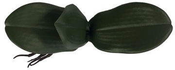 РЕЗИНОВЫЕ ЛИСТ ОРХИДЕИ ЛИСТЬЯ ОРХИДЕИ 26,5 СМ