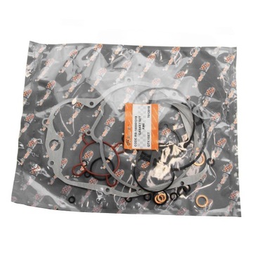 KOMPLET USZCZELEK APRILIA RS YAMAHA TZR RIEJU AM6