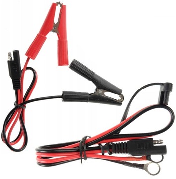 Prostownik automatyczny Volt 12/24V 10A 6PRO122411