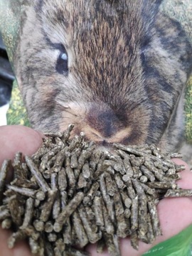 Корм Piast Rabbit Откорм цена за мешок 25кг для кроликов