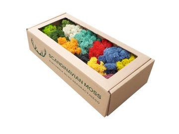 Mech Chrobotek Norweski PRÓBKA Mix Kolor NOR 400g