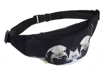 Детские почки мопса сашета