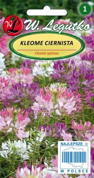 KWIATY Kleome cierniste - mieszanka 0,50 g