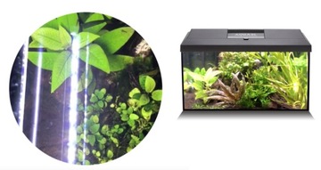 Аквариумный набор Leddy AQUAEL 60x30x30 54 Белый