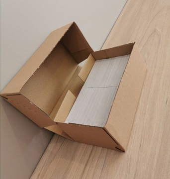 ЭКОЛОГИЧЕСКИЕ ВИЗИТКИ 1000 шт.