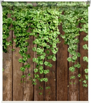 wymiary wzory motywy kolory ROLETA BALKON 47x150