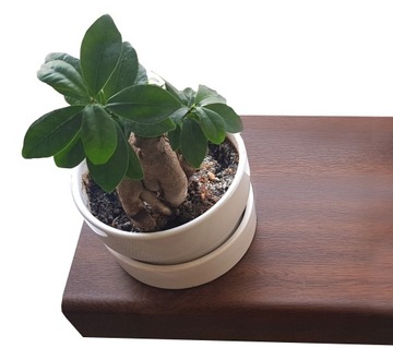 РЕНОВАЦИОННАЯ НАКРЫТКА ДЛЯ ПОДОКОНА ПВХ, 45 см, белый