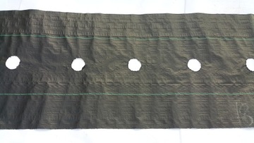 Agrotkanina na chwasty z OTWORAMI pod OGÓRKI 40cm
