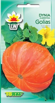 DYNIA OLBRZYMIA GOLIAS 50 KG OWOCE słodka