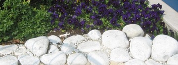 ГАЛКА КАМЕНЬ Белый Бьянко Каррара для сада 1кг