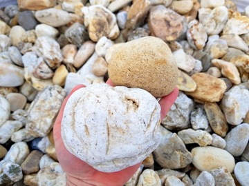 Ogród Japoński Kamień Otoczak DUŻY Grys Żwir 20 kg