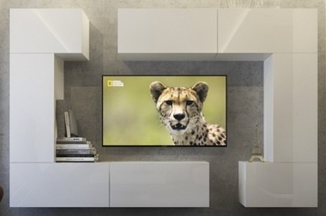 Meblościanka Meble Zestaw Biały Połysk tv TOKIO 1C