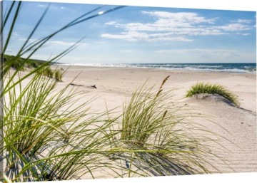 OBRAZ NA PŁÓTNIE WYDMY BAŁTYK PLAŻA 100x70 980 WZ