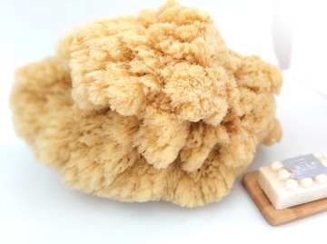 Губка SEA Sponge Natural Grass Тропическая губка среднего размера