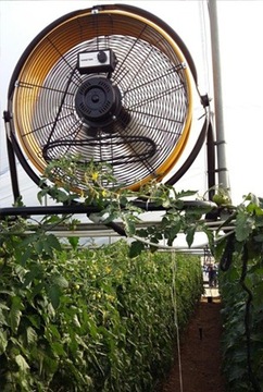 ПРОМЫШЛЕННЫЙ ВЕНТИЛЯТОР MASTER DF20P IP44