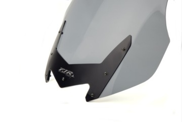 Maskownica Yamaha FJR 1300 2006-2012 LOSTER