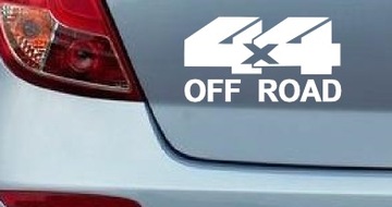 Наклейка на окно автомобиля ЦВЕТЫ БАБОЧКИ 20см