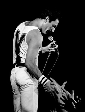 OBRAZ QUEEN FREDDY MERCURY ROCK NA PŁÓTNIE 50x70