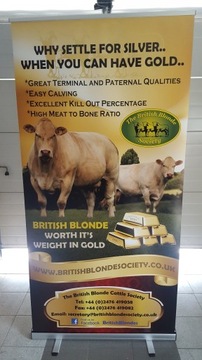 Roll-up Rollup 85cm Blockout DRUK FOTO torba