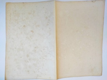 СТАРАЯ КАРТА ГРОСШЕРЦОГТУМА ОЛЬДЕНБУРГ ГРАФИКА 1869 ГОДА