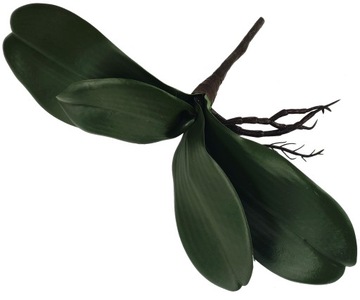 СИЛИКОНОВЫЕ ЛИСТ ОРХИДЕИ РЕЗИНОВЫЕ ЛИСТЬЯ ОРХИДЕИ