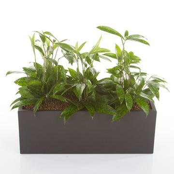 Белый прямоугольный горшок Mini Kube 50x18/18 см