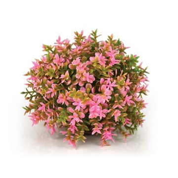 BIORB OASE KULA ROŚLINNA RÓŻOWA FLOWER 9 CM