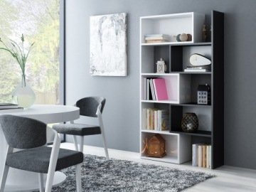 СОВРЕМЕННАЯ ВЫДВИЖНАЯ ПОЛКА