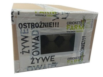 DREWNOJADY - PACZKA 1 LITR