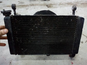 YAMAHA YZF 600 THUNDERCAT ВОДЯНОЙ ВЕНТИЛЯТОР РАДИАТОРА