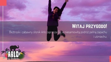 K2 ARLO ELEPHANT ароматизатор для автомобиля AQUA WATERFALL