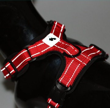 Собачьи брекеты сильные бесполезные отражающие воздухопроницаемые бори/xl