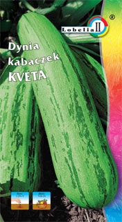 DYNIA ZWYCZAJNA -KABACZEK KVETA - 2 GRAMY Nasiona