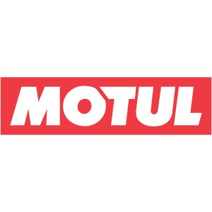 MOTUL E6 CHROME ALU PASTE очищает алюминий.