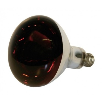 Lampa grzewcza 250W promiennik kwoka żarówki red !