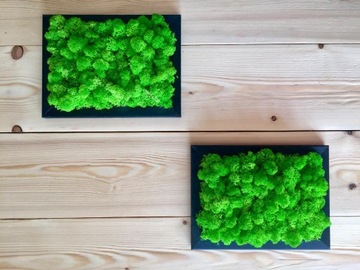Рамка со мхом, картина из мха, картина из мха.