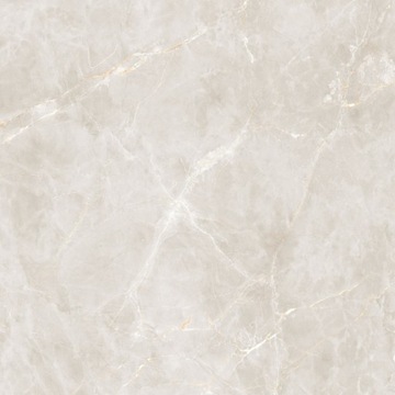 SHINESTONE WHITE POLER REKT 120*120 G2 m2 zamów