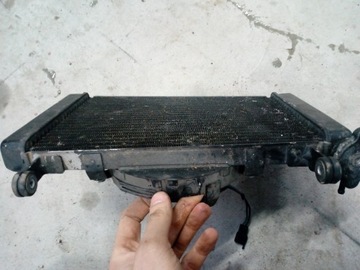 YAMAHA YZF 600 THUNDERCAT ВОДЯНОЙ ВЕНТИЛЯТОР РАДИАТОРА