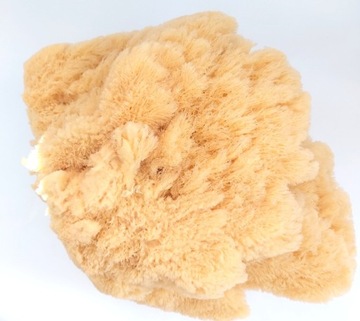 Губка SEA Sponge Natural Grass Тропическая губка среднего размера