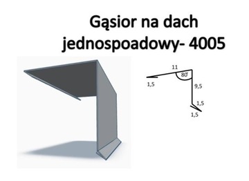 Gąsior na dach jednospadowy 4005